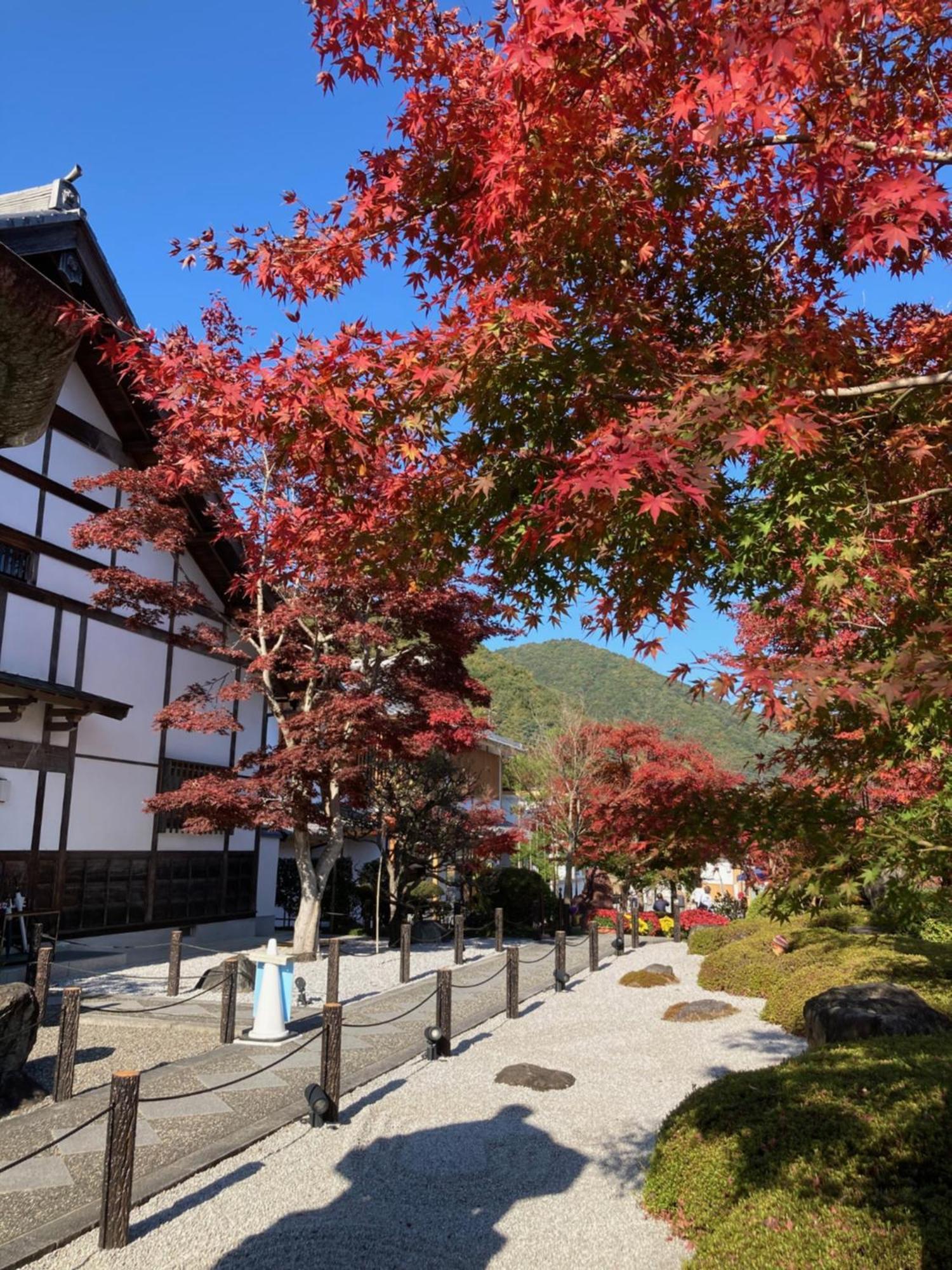 Sky Tree Inn Ⅱ（晴樹宿ⅱ） Tóquio Exterior foto