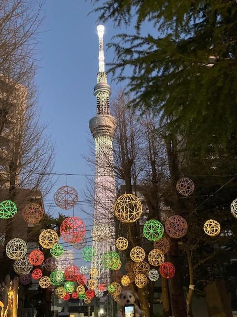 Sky Tree Inn Ⅱ（晴樹宿ⅱ） Tóquio Exterior foto